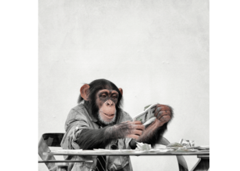 What is Cash Frenzy in a Stock Market - Unveiling the Investor’s Psychology