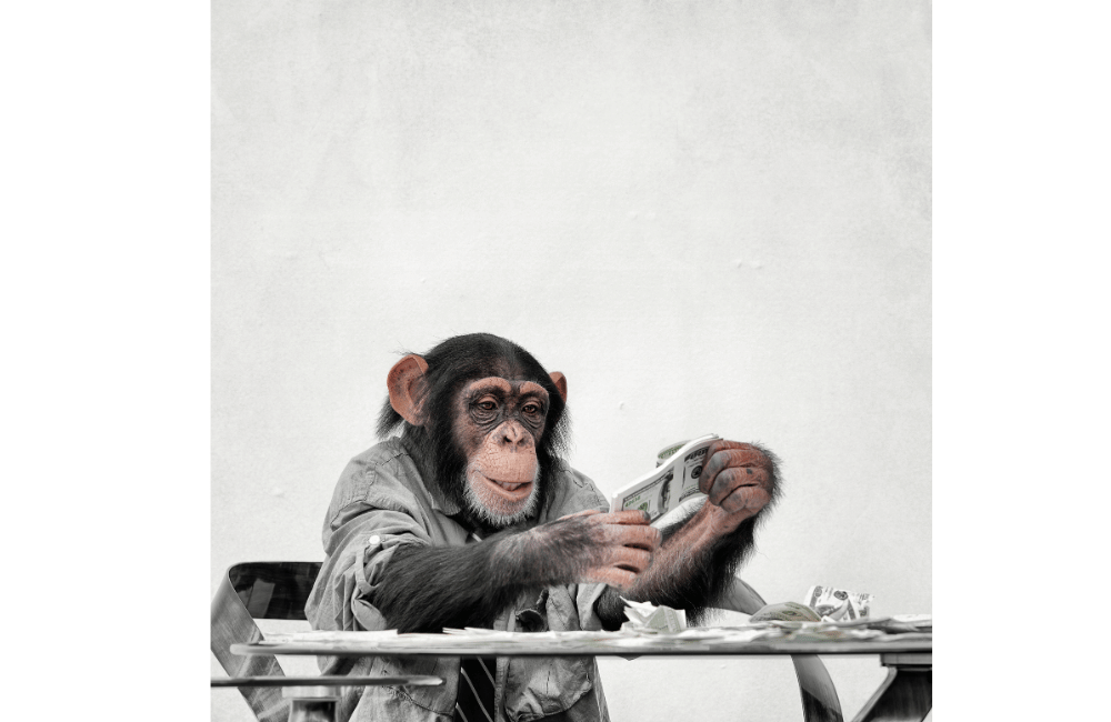 an illustration of a monkey trying to understand a cash frenzy in the stock market. 